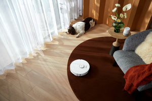 Christmas in July: Discover the Perfect Roborock Robot Vacuum for Holiday Cleaning